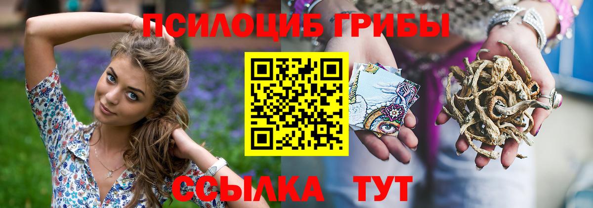 Орск  Галлюциногенные грибы мицелий  Вход с VPN 